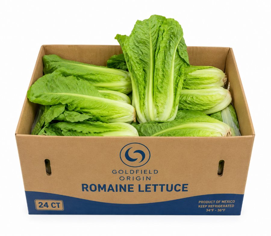 Lechuga romaine, caja de 24 piezas, con o sin funda